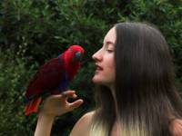bigstockphoto_Young_Girl__Parrot_382151